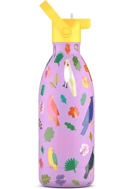 COOL BOTTLES. Ανοξείδωτο παιδικό μπουκάλι Fly Free 500ml