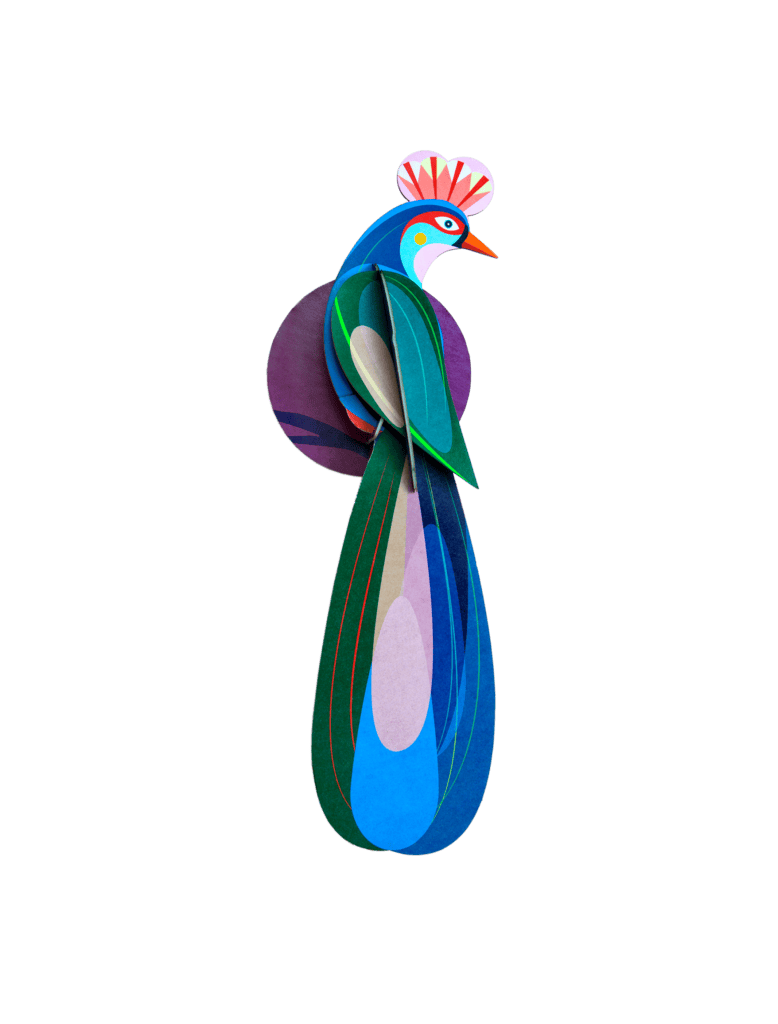 Studio ROOF – Paradise Bird, Banda