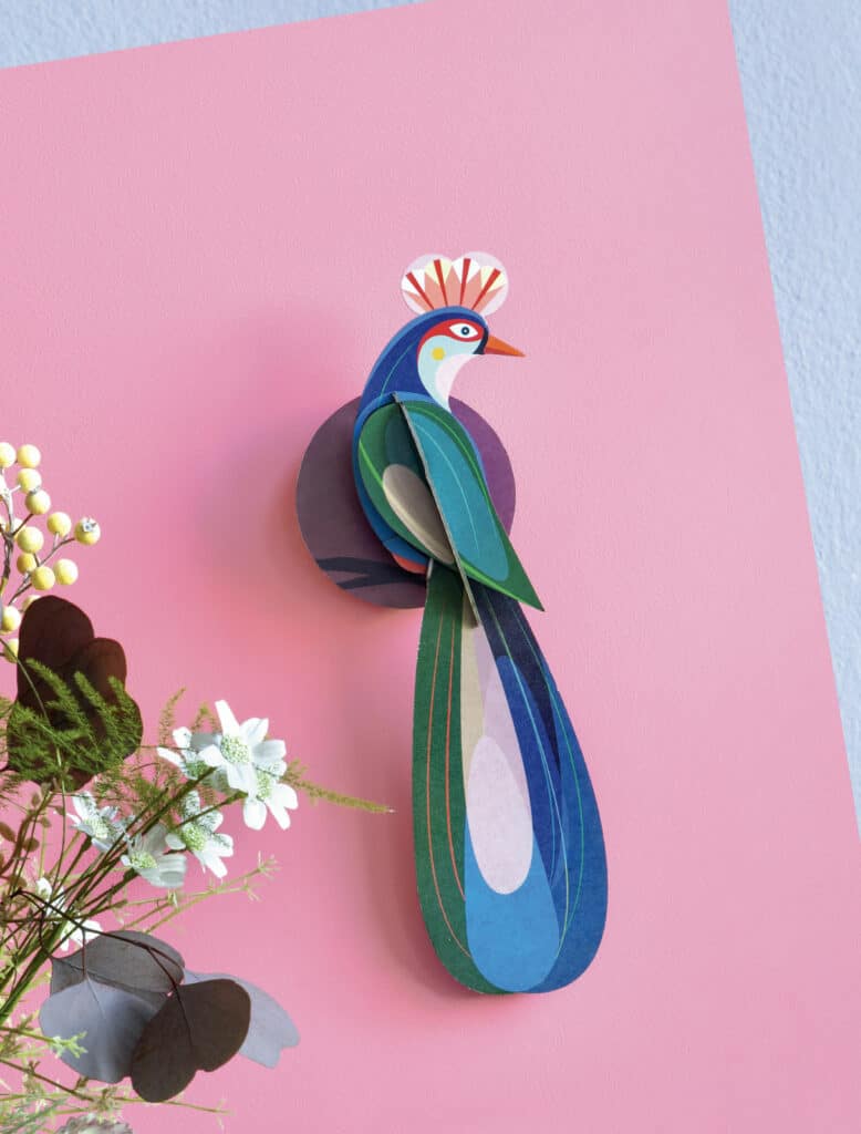 Studio ROOF – Paradise Bird, Banda