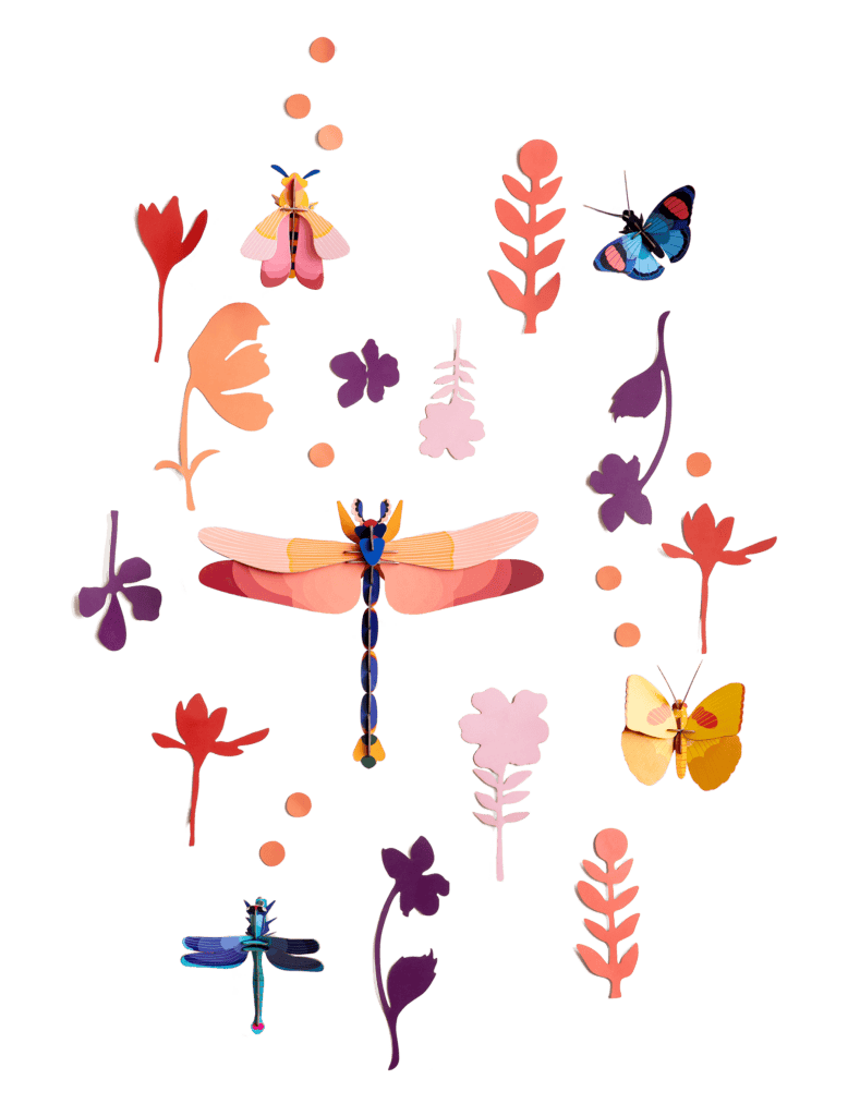 Studio ROOF – Insect Connoisseur