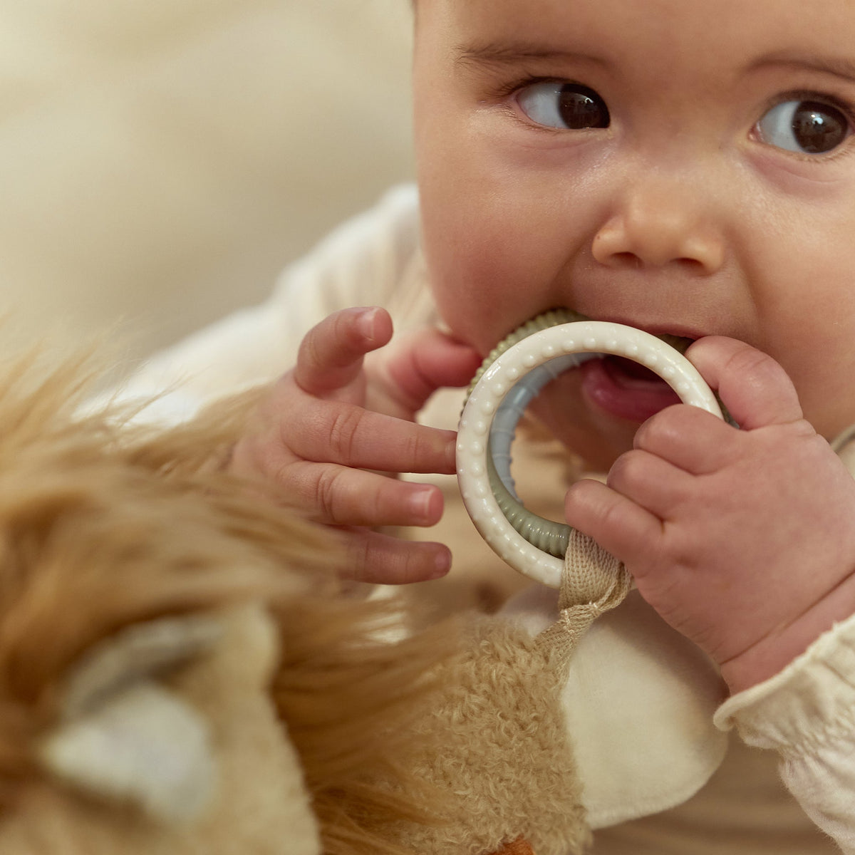 LITTLE DUTCH. Υφασμάτινο λιονταράκι δραστηριοτήτων Safari Friends GRS