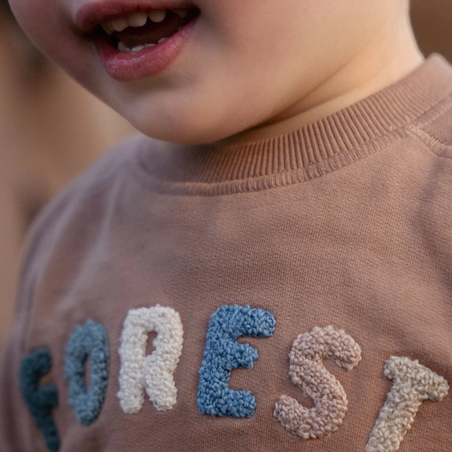 LITTLE DUTCH. Φούτερ Brown