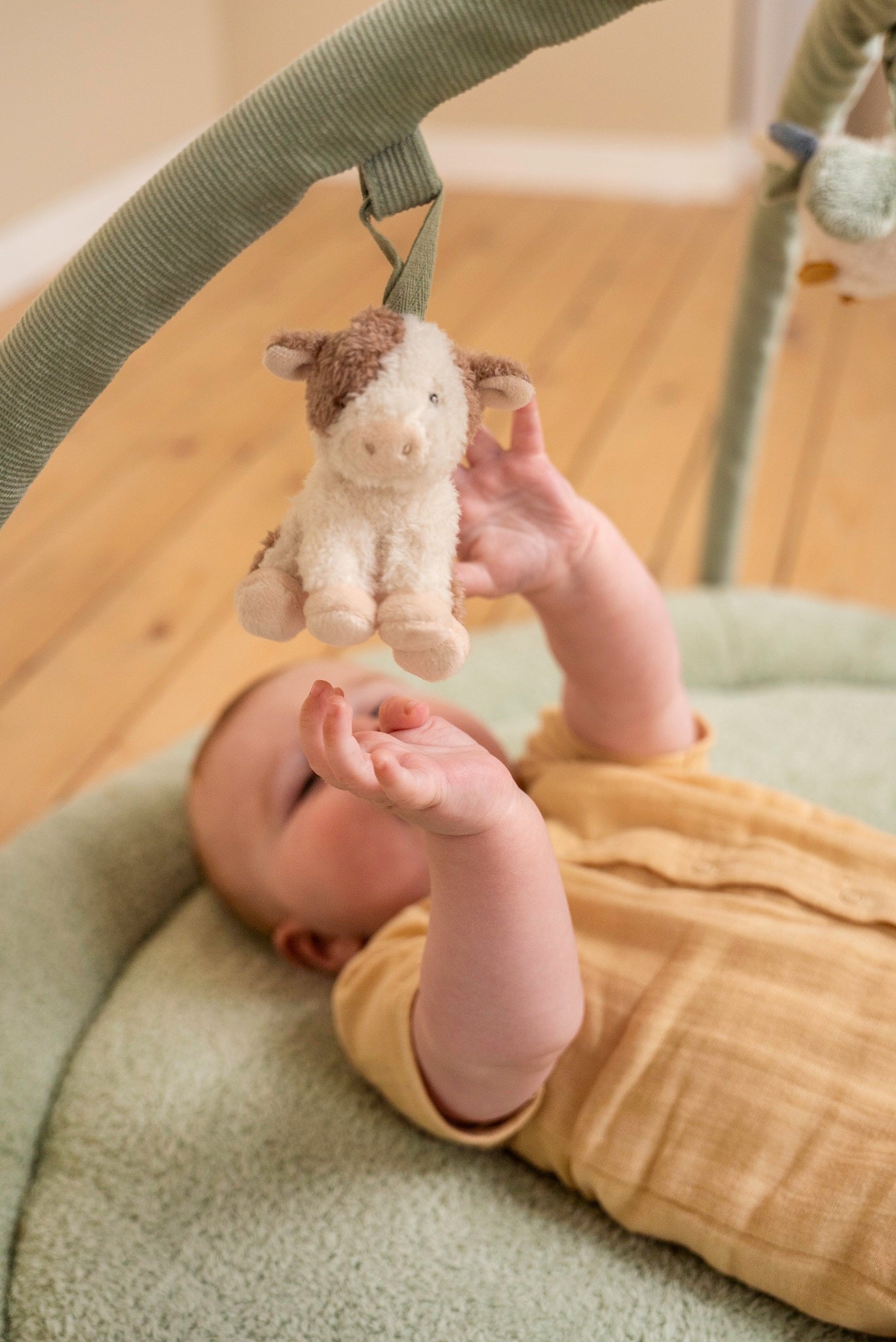 LITTLE DUTCH. Βρεφικό γυμναστήριο δραστηριοτήτων Little Farm