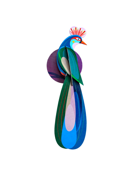 Studio ROOF – Paradise Bird, Banda