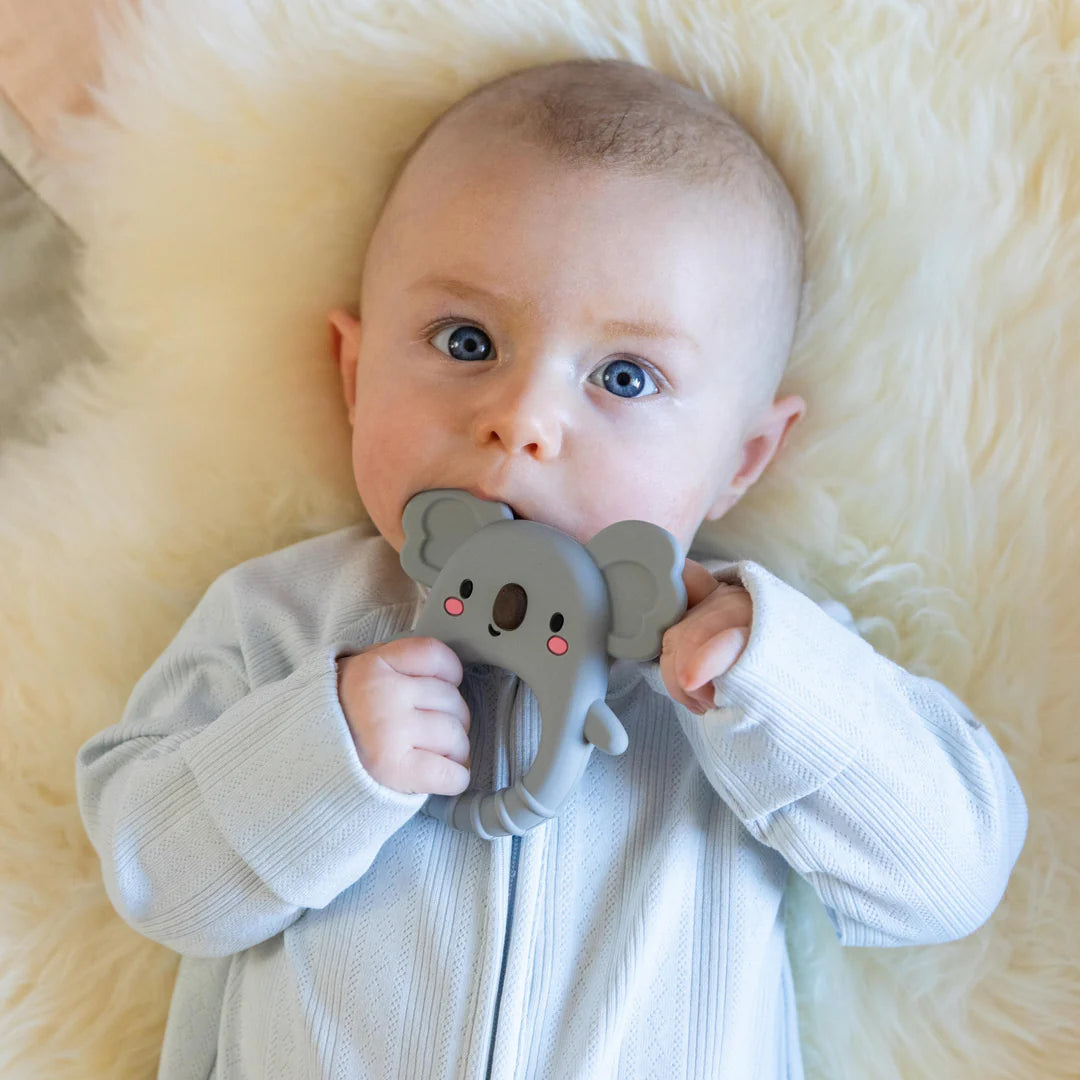TIGER TRIBE. Παιχνίδι Οδοντοφυΐας – Silicone Teether Koala