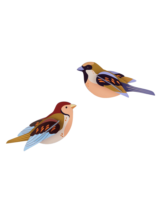 Studio ROOF – Sparrows (set of 2)